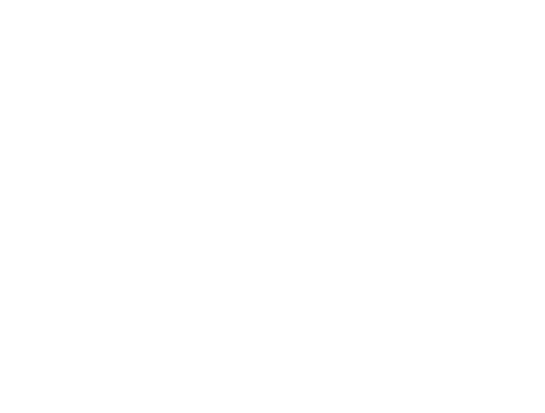 Github Spotlight